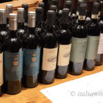 イタリアワイン キャンティ・ルフィナの新しいブランド「Terraelectae」誕生