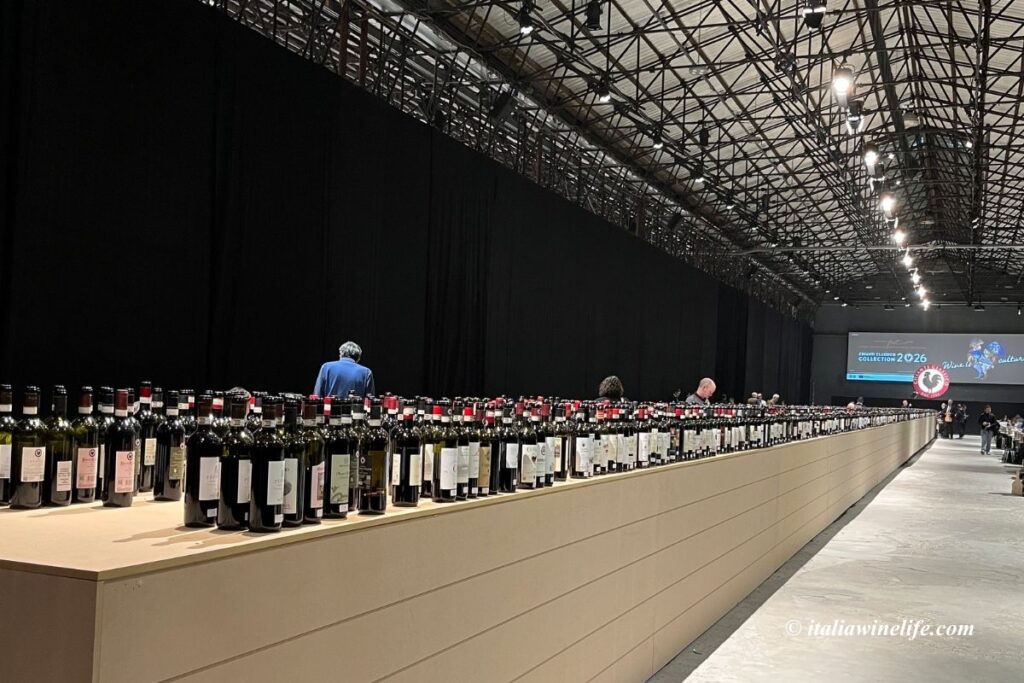 キャンティクラシココレクション2026